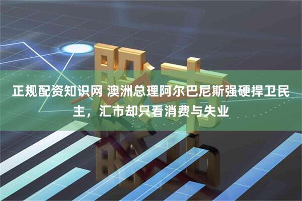 正规配资知识网 澳洲总理阿尔巴尼斯强硬捍卫民主，汇市却只看消费与失业